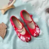 Flower Embroidered Canvas Ballet Flats Old Beijing Kung Fu Shoes