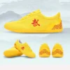 Canvas Kung Fu Tai Chi Training Shoes