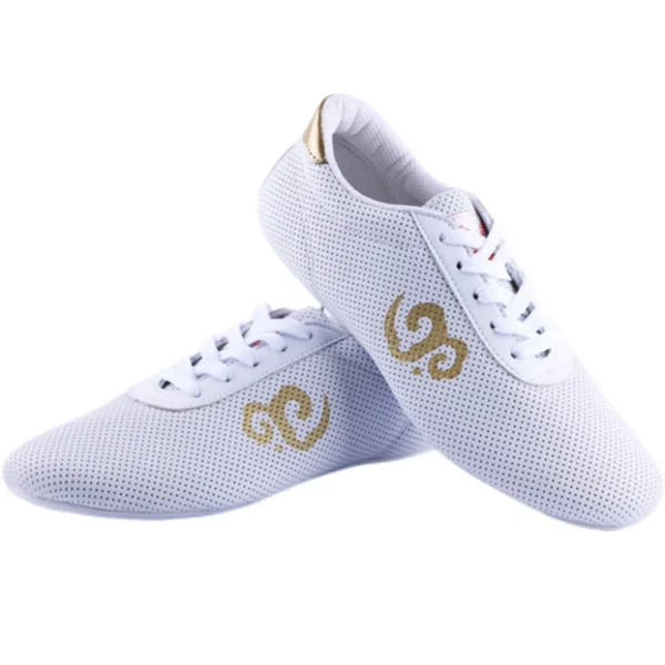 Lightweight Traditional Kung Fu Shoes for Martial Arts