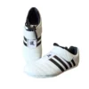 Breathable Kung Fu Martial Arts Shoes