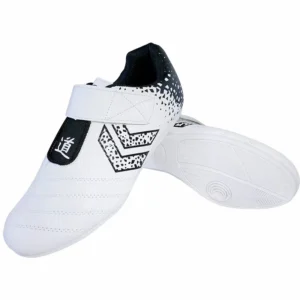 Professional Taekwondo Kung Fu Martial Arts Shoes