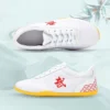 Canvas Kung Fu Tai Chi Training Shoes