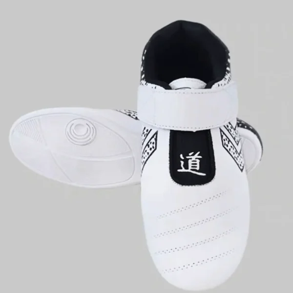 Professional Taekwondo Kung Fu Martial Arts Shoes