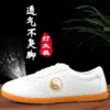 Non-Slip Oxford Sole Kung Fu Leather Shoes