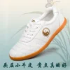 Non-Slip Oxford Sole Kung Fu Leather Shoes