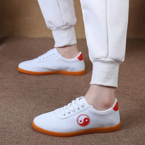 Premium Canvas Tai Chi Martial Arts Shoes