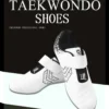 Professional Taekwondo Kung Fu Martial Arts Shoes
