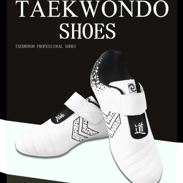 Professional Taekwondo Kung Fu Martial Arts Shoes